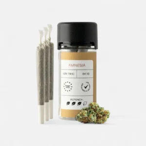 Classic Joints Amnesia